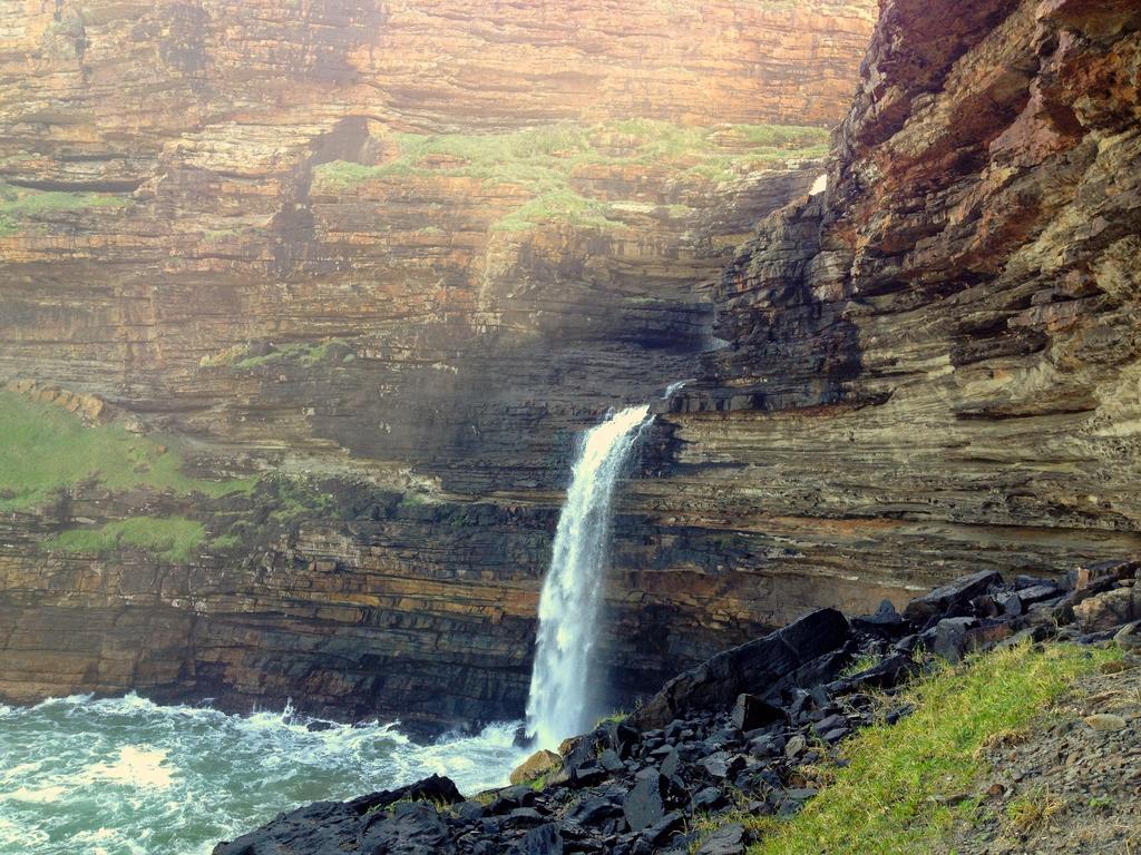 Port Saint Johnʼs Jungle Monkey Backpackersホステル エクステリア 写真