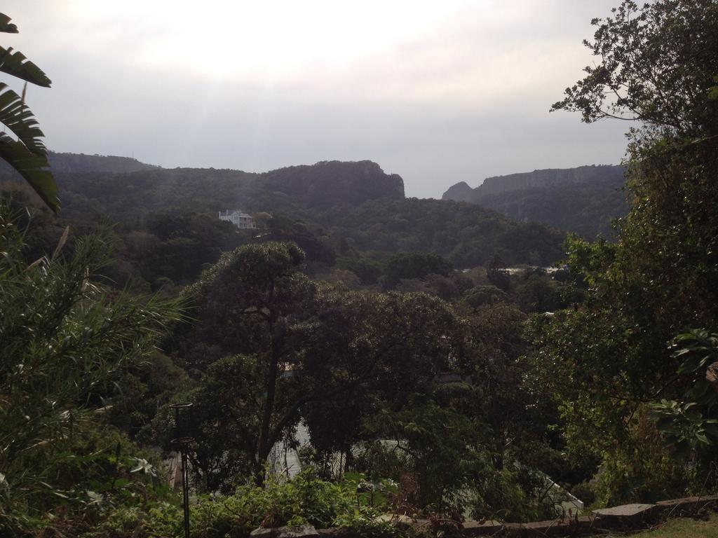 Port Saint Johnʼs Jungle Monkey Backpackersホステル 部屋 写真