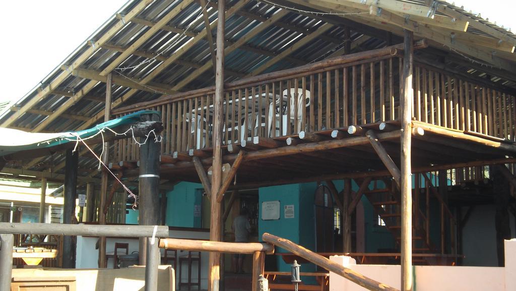 Port Saint Johnʼs Jungle Monkey Backpackersホステル エクステリア 写真